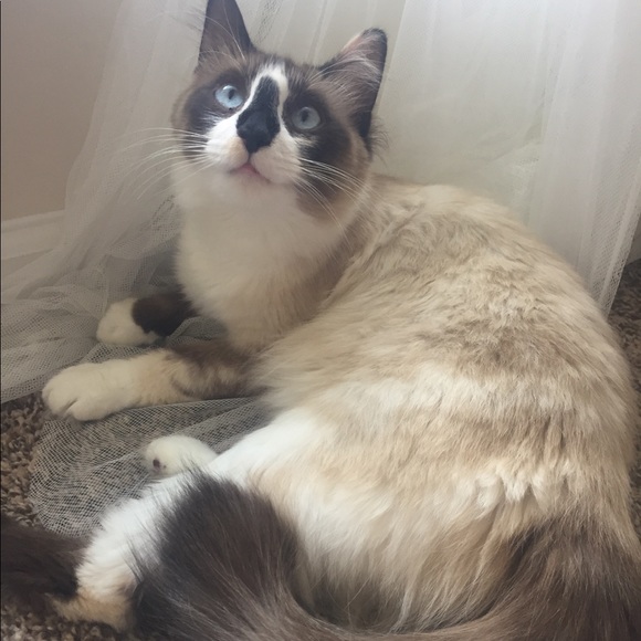 Frills with Thrills! 🎀 - Picture 6 of 6